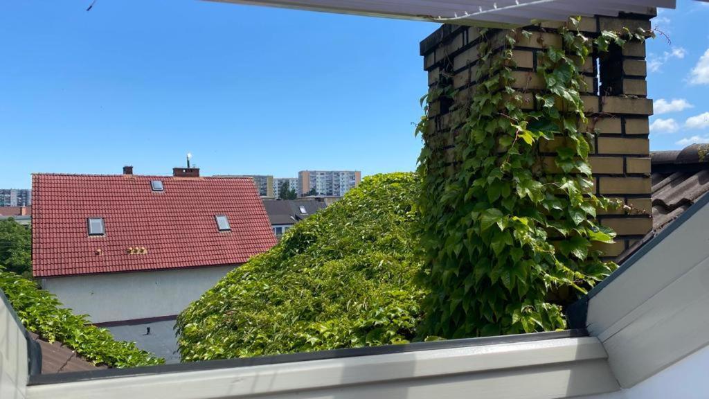 Apartamenty Forest&Sea Swinemünde Zimmer foto