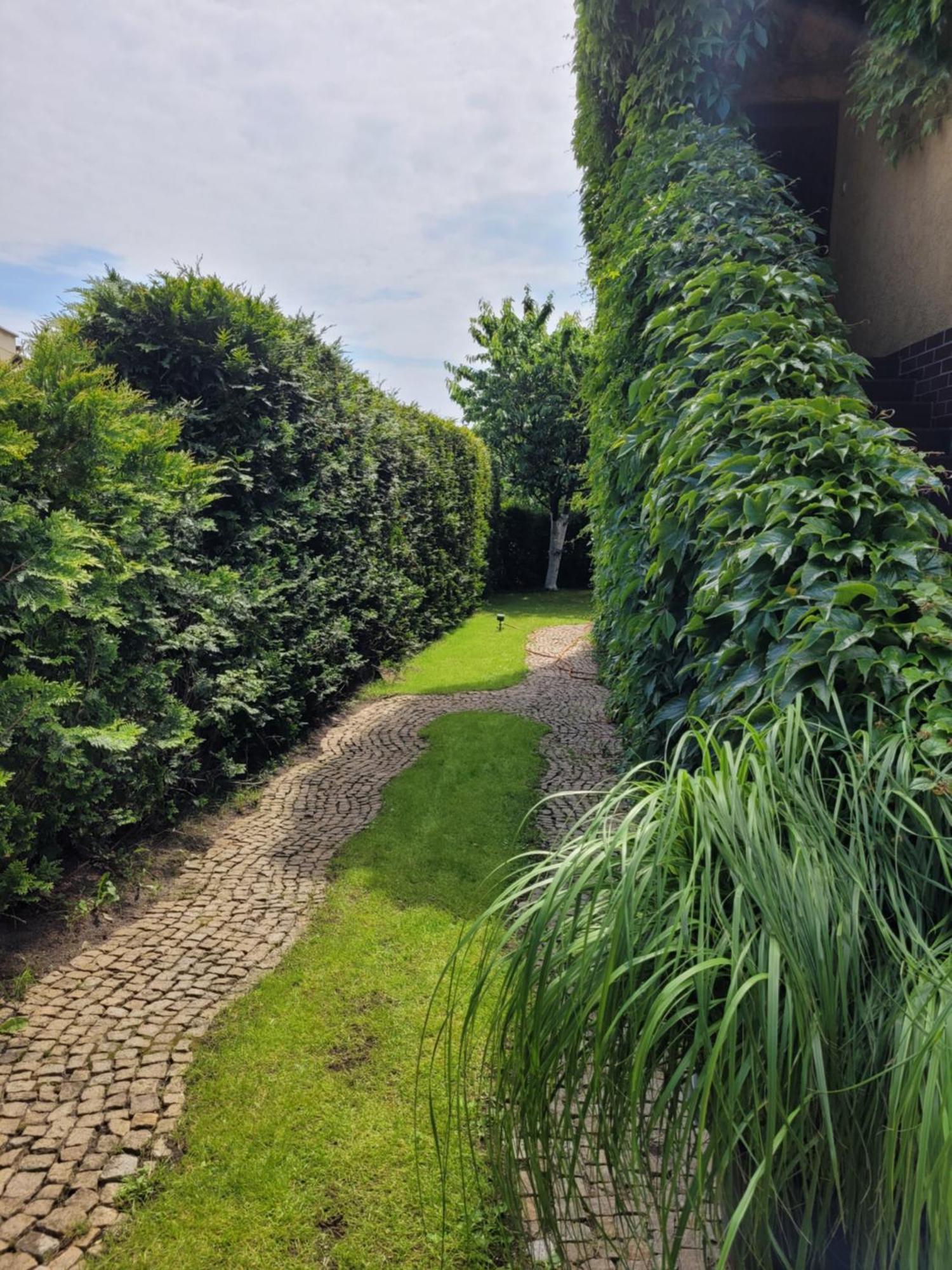 Apartamenty Forest&Sea Swinemünde Zimmer foto